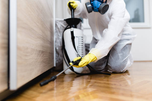 Reliable Boise, ID Pest Control Solutions