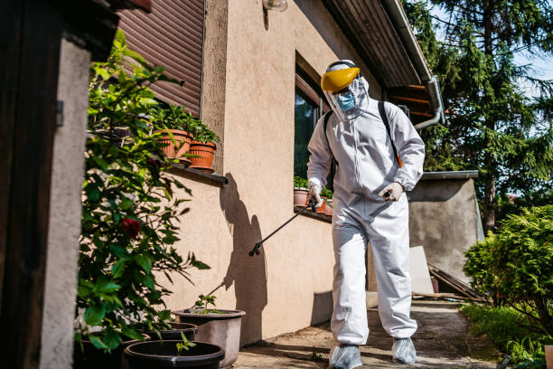 Best Cockroach Control Services  in Boise, ID