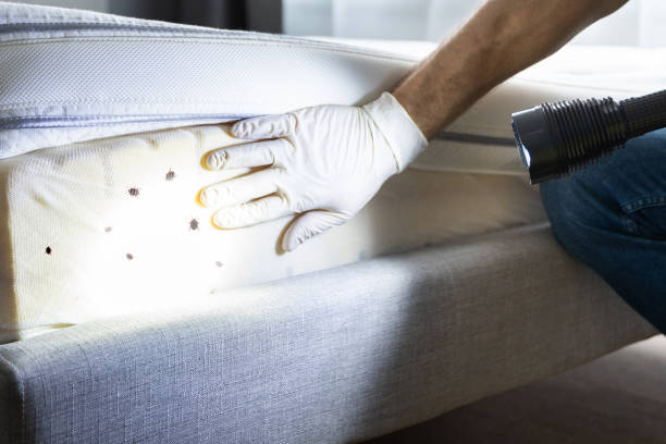 Best Pest Control Near Me  in Boise, ID