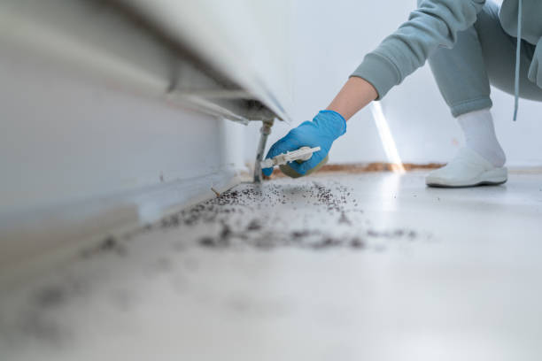 Best Mosquito Control Services  in Boise, ID