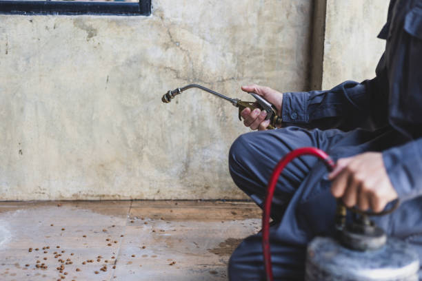  Boise, ID Pest Control Pros