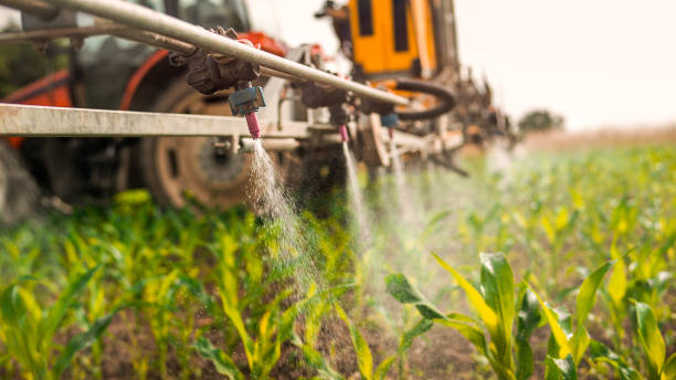Best Ant Control Services  in Boise, ID